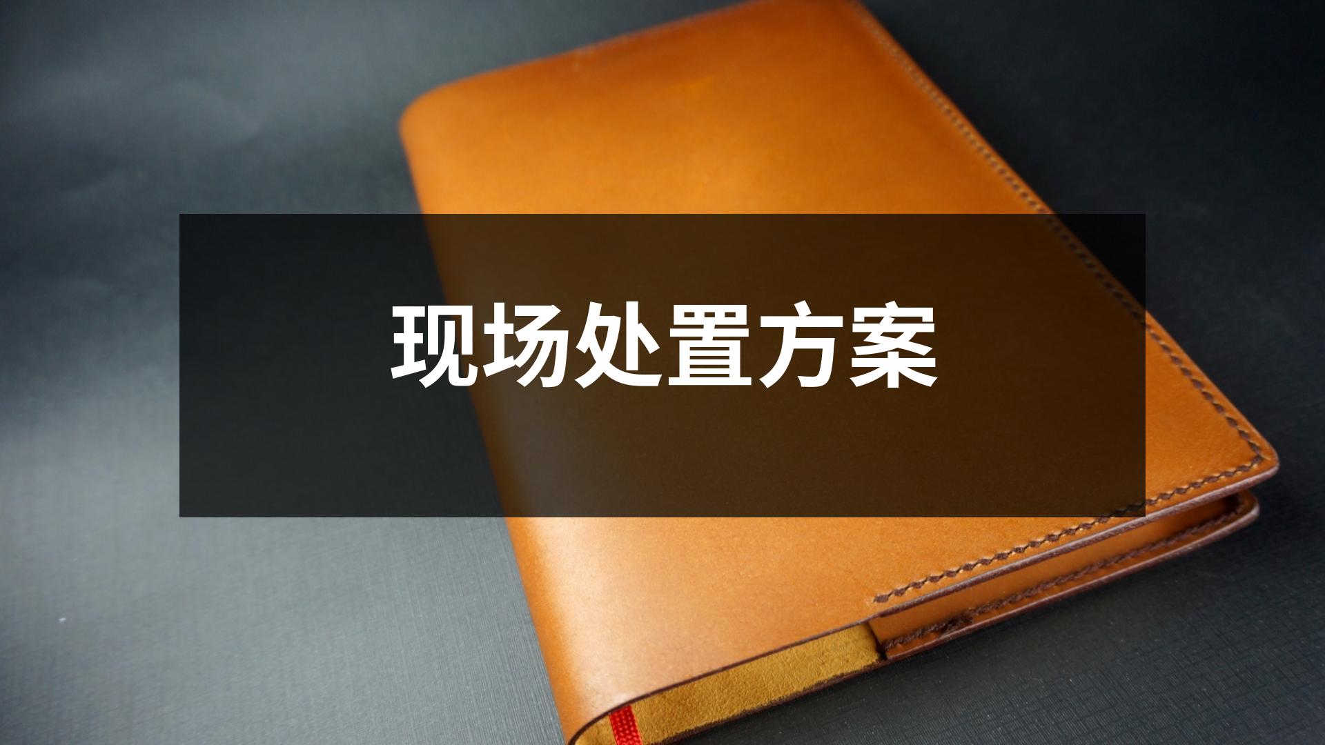 現場處置方案