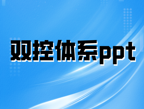 雙控體系