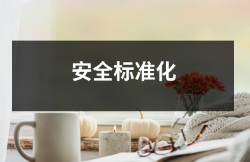 安全標(biāo)準(zhǔn)化