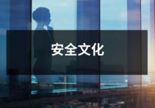安全文化